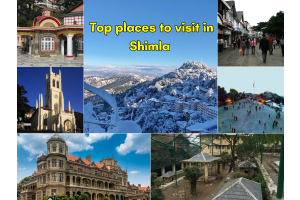 A head to guide of how to explore the city Shimla