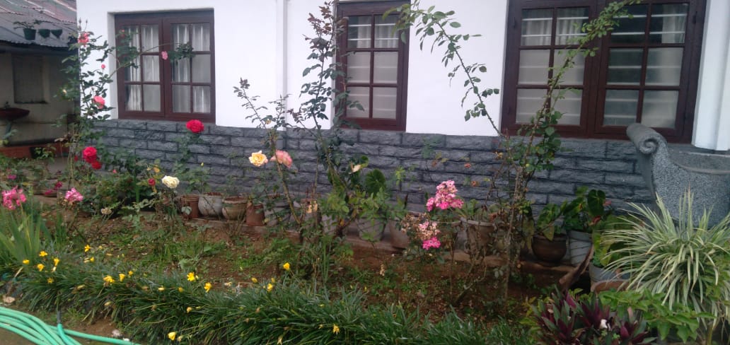 Gallery image 5342