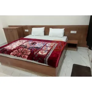 Ladli Palace Guest House - Barsana