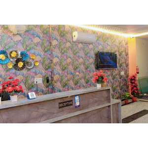 Hotel Moon Mahel - Jaipur