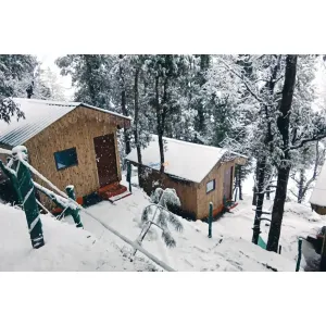 TTN The Tracker's Nest - Joshimath