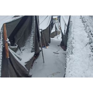 Shree Narayan Tent and Camp - Kedarnath