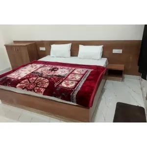Ladli Palace Guest House - Barsana