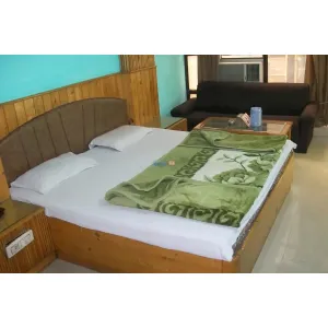 Hotel Delhi Regency - Delhi